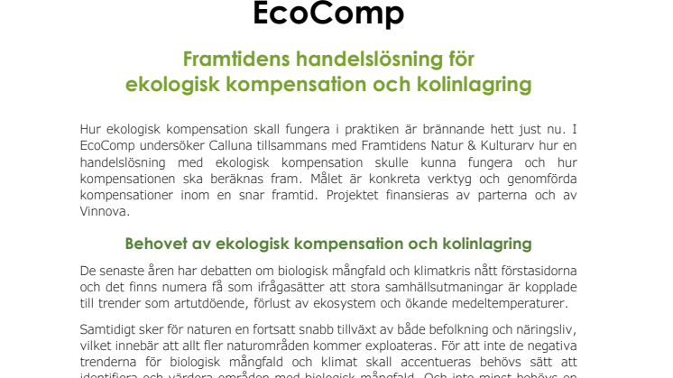 EcoComp Steg 1 - projektpresentation