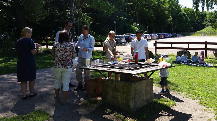 Från Fulltoftapicknick 2016