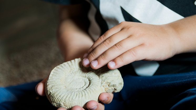 Se museets skatter på Geologins dag