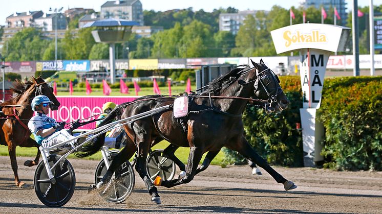 Don Fanucci Zet och Örjan Kihlström vinner Elitloppet 2021. Foto: Maria Holmén/ATG.