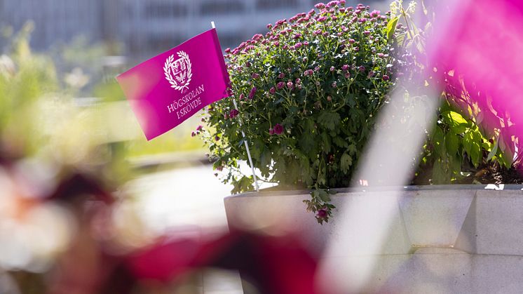Måndagen 21 augusti samlas studenter från hela världen för att inleda studier på Högskolan i Skövde. 