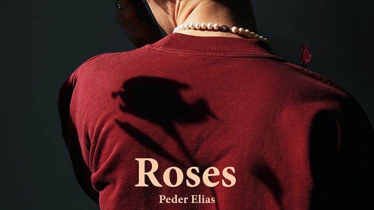 Ingen dans på roser for Peder Elias