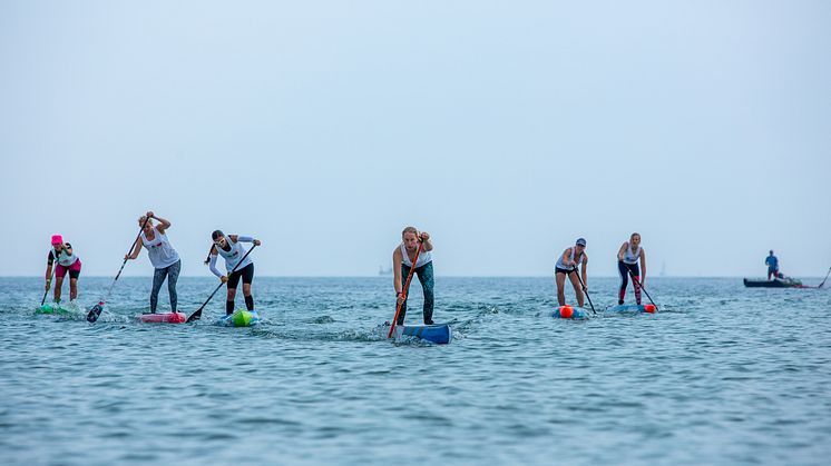 SUP- und Wingfoil-Festival am Südstrand auf Fehmarn©bsp-media_SUP Festival