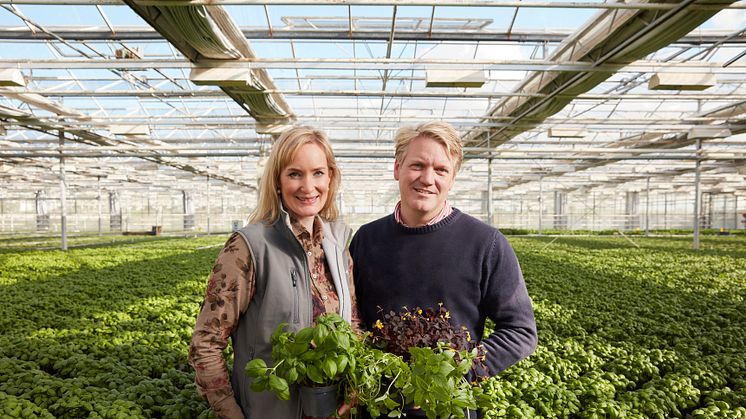 Anna och Daniel Bertland från väletablerade Classicum Växthus AB förvärvar även Kabbarps Trädgård AB, för att ytterligare satsa på grön näring.