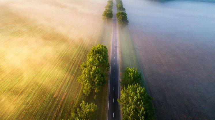 Bild: IStock/Alex Ugalek