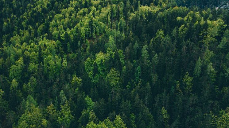 2022 Voyado Sustainability Report
