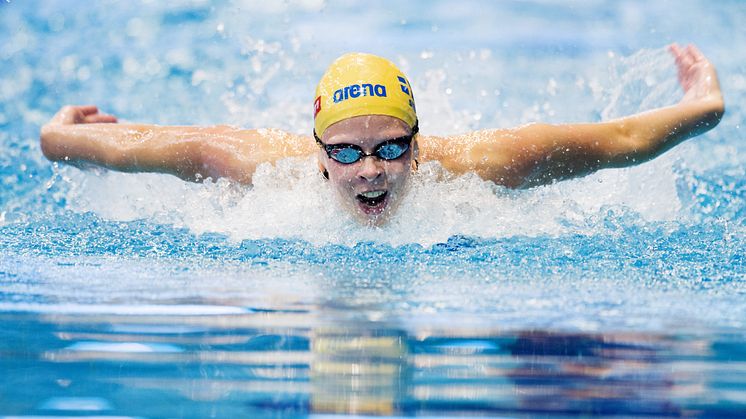 Kom och se våra simstjärnor göra upp om SM-medaljerna