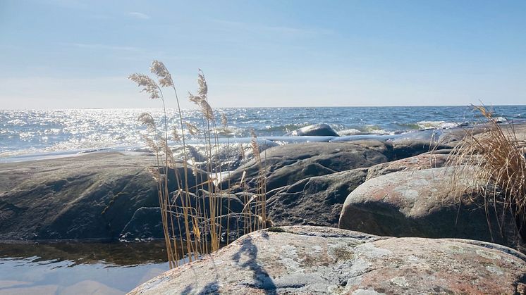 Hammarö sydspets