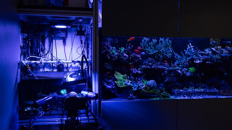  Coral Spawning Lab -korallinkasvatuslaboratorio toimii edelläkävijänä tutkimuksessa, joka keskittyy koralliriuttojen elinkaaren ymmärtämiseen ja tarjoaa samalla yleisölle arvokasta tietoa ekosysteemien elvyttämisestä.