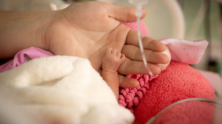 Barn som föds extremt för tidigt hör till de allra mest sårbara patienterna inom sjukvården. Foto: Wirestock/iStock