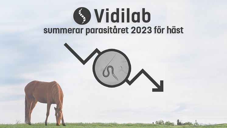 Vidilab summerar parasitåret 2023 för häst