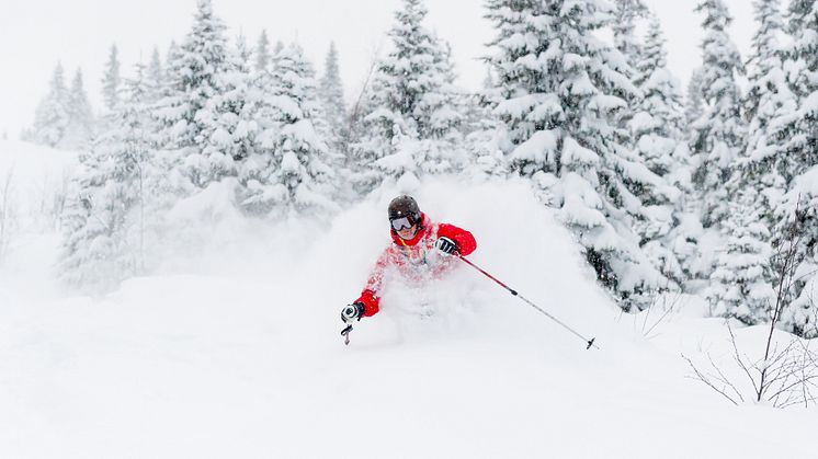 SkiStar Trysil: 50 cm pudder på to dager