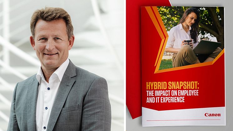 Svein Trønnes og Hybridarbeid