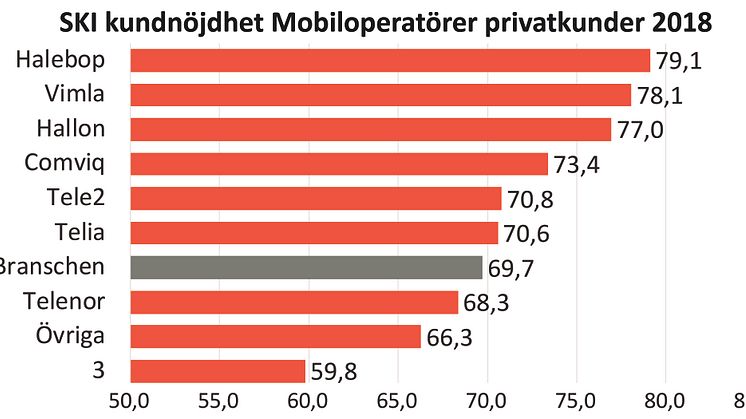 Vimlas och Halebops kundnöjdhet ökar mest bland privatkunderna och visar att starka nischade varumärken sticker ut.  SKI kundnöjdhet mäts på en skala 0-100 där över 75 är mycket nöjda, 60-75 nöjda och under 60 missnöjda.