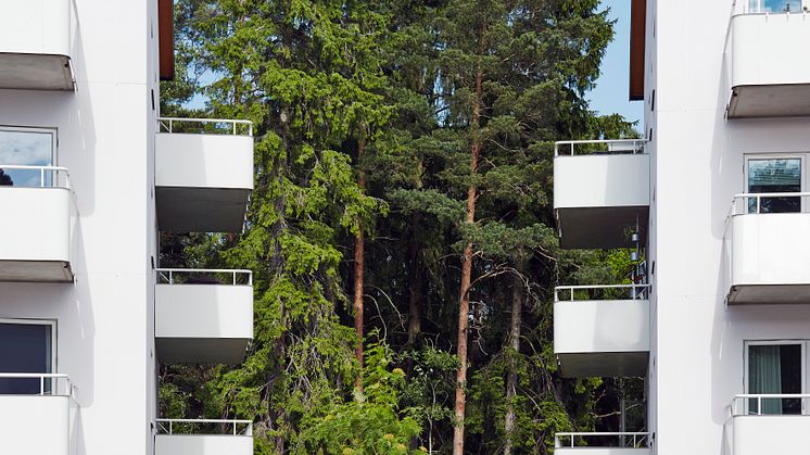 Stena Fastigheter är det privata fastighetsbolag som lämnar flest lägenheter till bostadsförmedlingen i Stockholm 2018 med 547 lägenheter. Långt viktigare än statistiken är att vi bidrar till att fler stockholmare får en plats de kan kalla sitt hem.