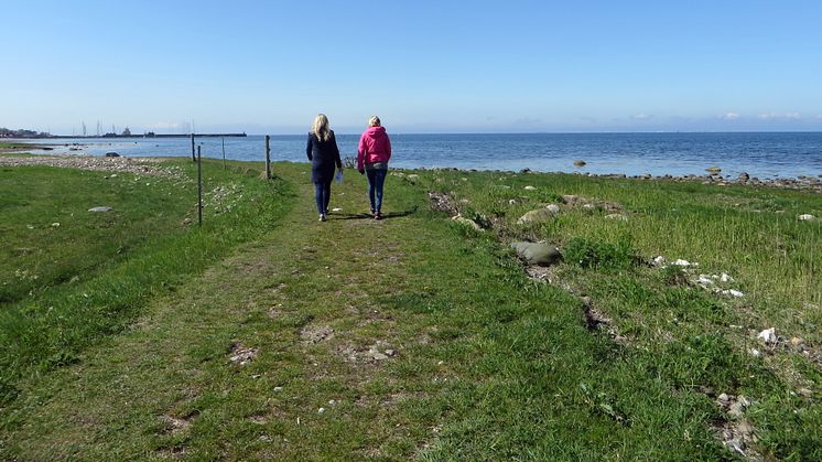 Skåneleden är en fantastiskt vacker vandringsled längs kusten i Kävlinge kommun.