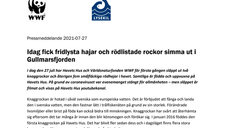 210727 -pressmeddelande Havets hus och WWF om utsläpp av rockor och hajar.pdf
