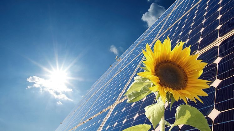 Shining a light on solar research