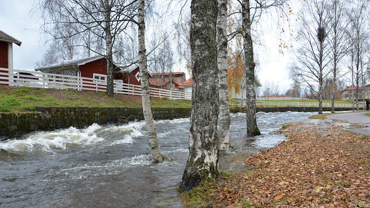 Blött, blåsigt och varmt ger bättre förutsättningar inför vintern