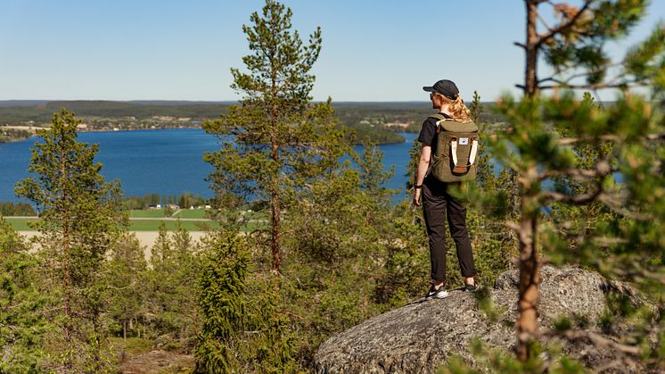 Vandra upp till tio av de bästa bergen, eller topparna, i Tavelsjö. De bjuder på olika upplevelser, olika svårighetsgrad och olika vyer.