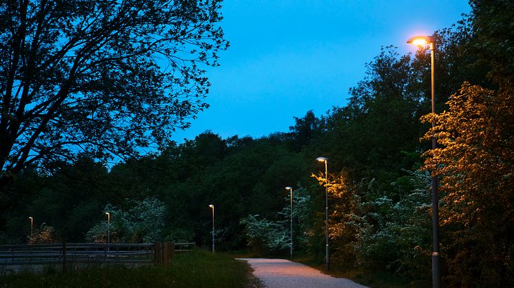 Trygg belysning för både människor och djur vid Klagshamns udde.  