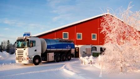 Norrmejerier gör ett positivt resultat 2010 - extra betalning till Norrlands mjölkbönder