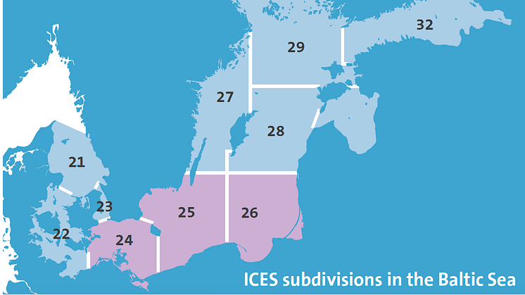 ICES subdivisions in the Baltic Sea