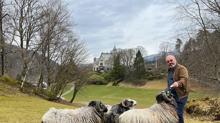 Driftsleder ved Gamlehaugen i Bergen, Tor Christiansen, går snart av med pensjon etter en årrekke i Statsbygg. Foto: Nils Tore Sæterdal (Statsbygg) 