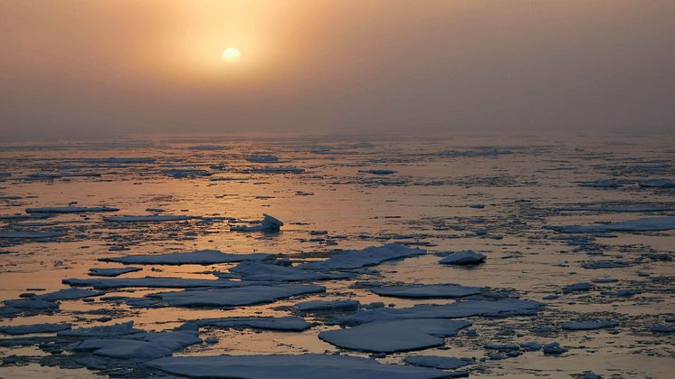 Havsisen i Arktis minskar långsiktigt till följd av global uppvärmning, men mängden is varierar även kraftigt från år till år. En ny studie visar att det framförallt beror på variationer i temperaturen i atmosfären ovanför isen. Foto: Dirk Olonscheck