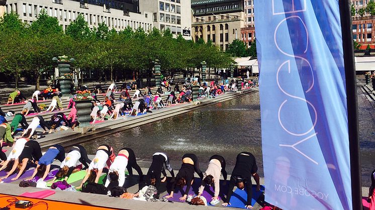 Över 1000 yogis intar Kungsträdgården