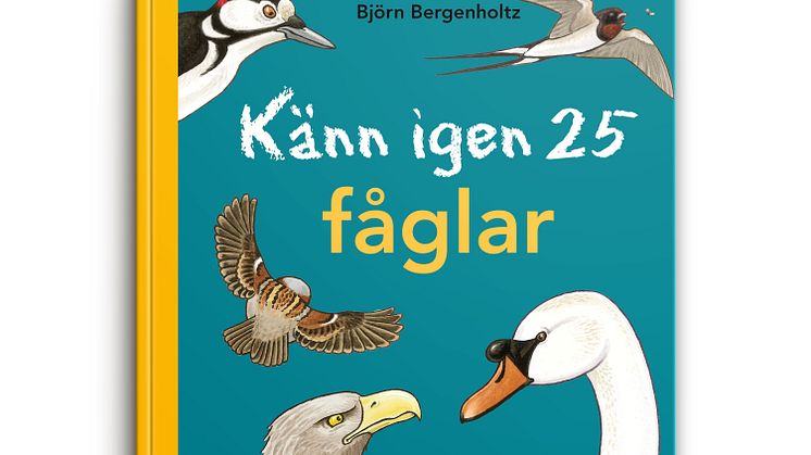 Känn igen 25  fåglar av Björn Bergenholtz Bok Happy Meal 2016