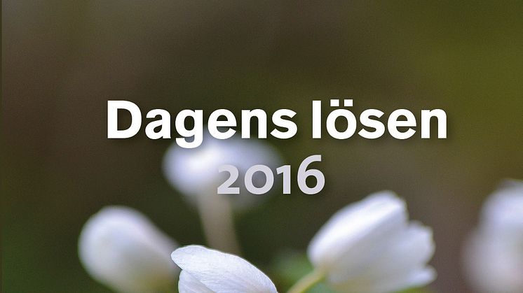 Omslagsbild: Dagens lösen 2016