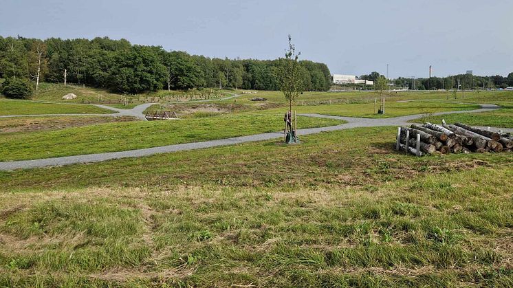 Nyöppnade Hansta hage är inramad och genomkorsad av gångvägar. Några broar går över ett dike med dammar. Området liknar en begravningsplats, men utan gravar.