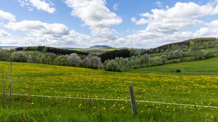 Die Natur erwacht im Schindelbachtal (Foto: TVE/Ronny Küttner)