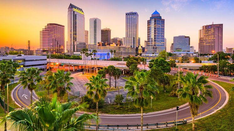 Discover Airlines Tampa 