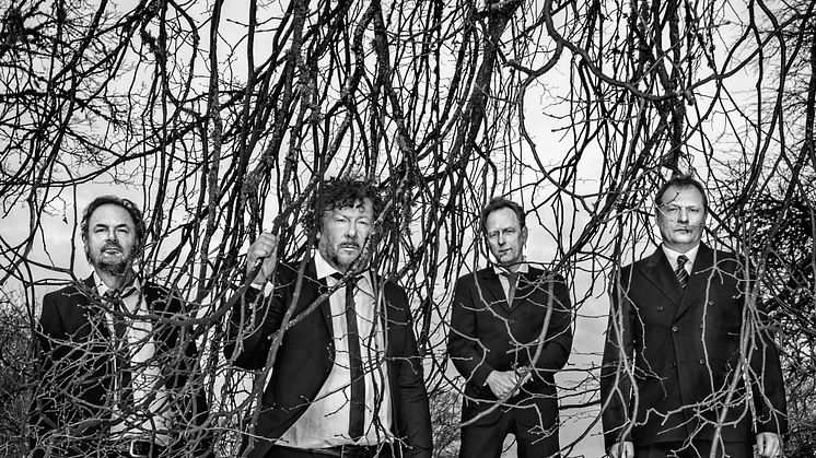 Weeping Willows live på Fotografiska i Stockholm den 4-7 november