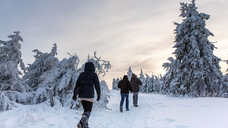 Winter-Wandern im Erzgebirge