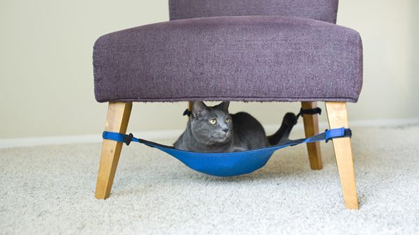 Catcrib - En Hammock för kissen