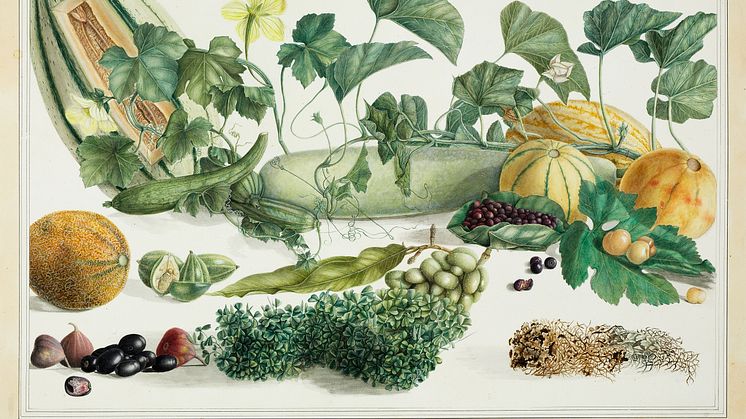 Stilleben med frugt og grøntsager, ca. 1820.