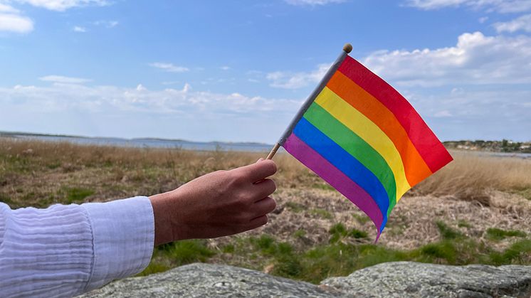 liten_Prideflagga-rågelund