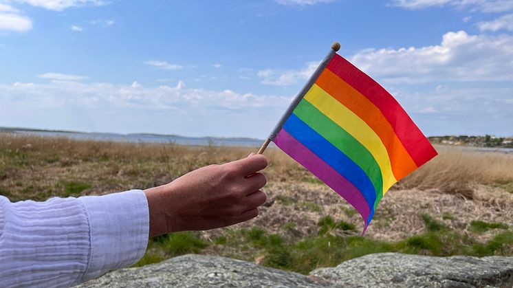 Regnbågsflaggan vi hissar utanför Stadshuset, den 29 maj, är av modell större än den ni ser här. Bilden är från Rågelund i Åsa.