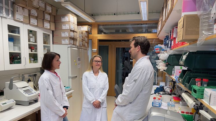 Epigenetiska förändringar kan orsaka typ 2-diabetes. Tina Rönn, Charlotte Ling och Karl Bacos. Foto: Petra Olsson