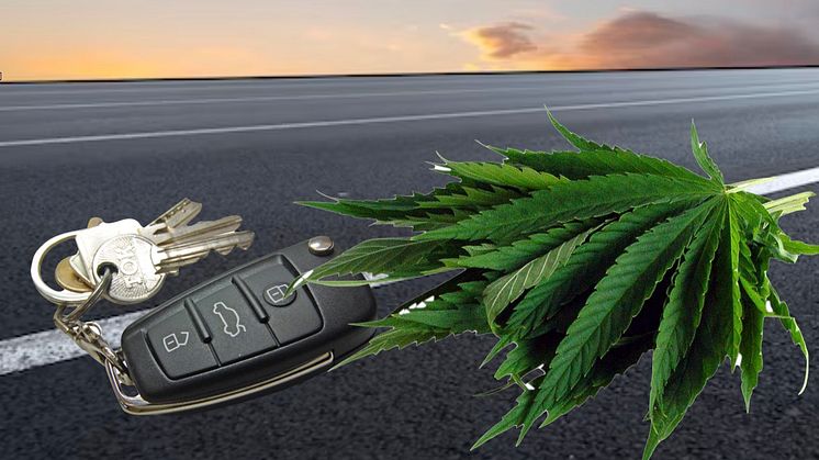 Studie lässt mehr Cannabis-Fahrten nach Legalisierung befürchten