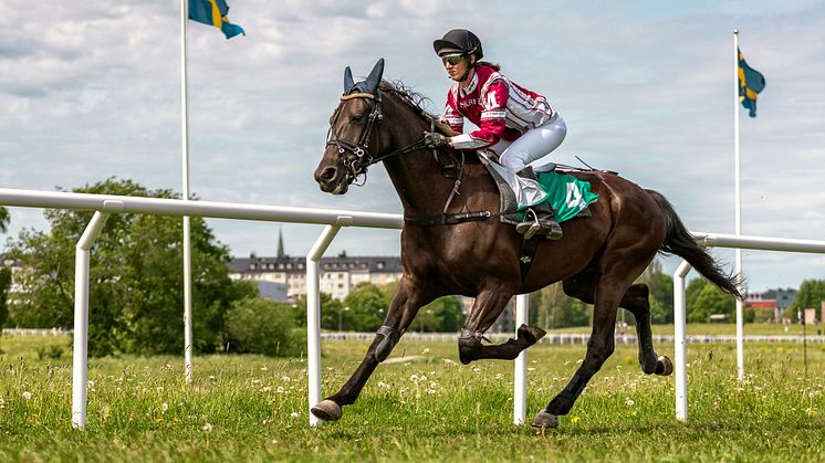 Monté på Nationaldagsgaloppen