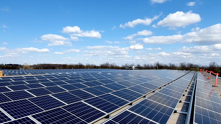 SydGrönts solcellsanläggning med 900 paneler genererar el motsvarande 48 bostadsvillor