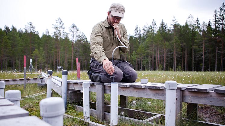 Hjalmar Laudon mäter grundvattennivån på Kallkälsmyren i Krycklan. Foto: Jenny Svennås-Gillner, SLU 