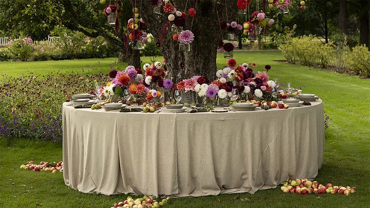 Kullafloristens utställning i dahliakvarteret. Foto: Anders Ahlgren