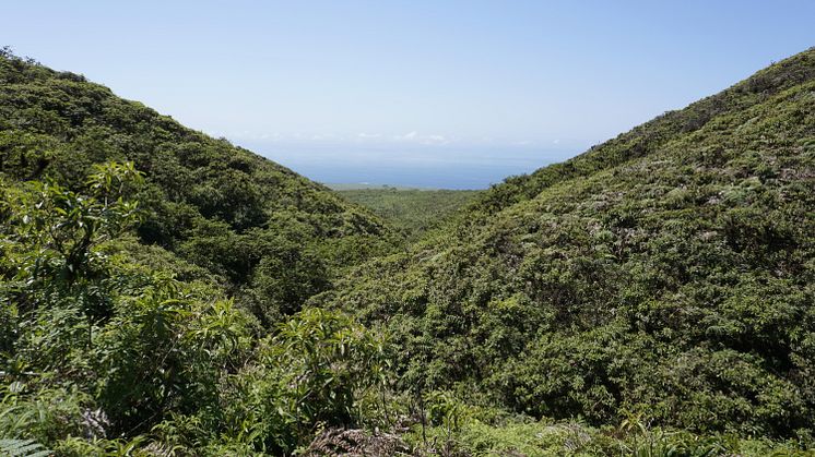 Galapagos reserve landscape - San Cristóbal Island - Fundación Jocotoco.jpg