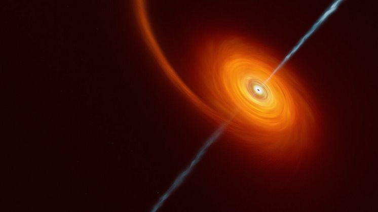 En konstnärlig illustration av hur det kan se ut när en stjärna kommer för nära ett svart hål. Stjärnan trycks ihop av det svarta hålets intensiva gravitationskraft.  Illustration: ESO/M.Kornmesser