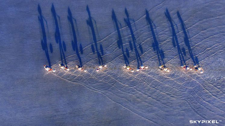 2018 SkyPixel Contest-Photo Group-Second Prize-Fun-Burden salt harvest